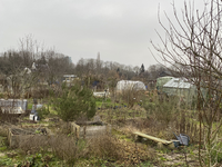 904095 Gezicht op het terrein van de Volkstuinen Rijndijk aan de Rijndijk te Utrecht.